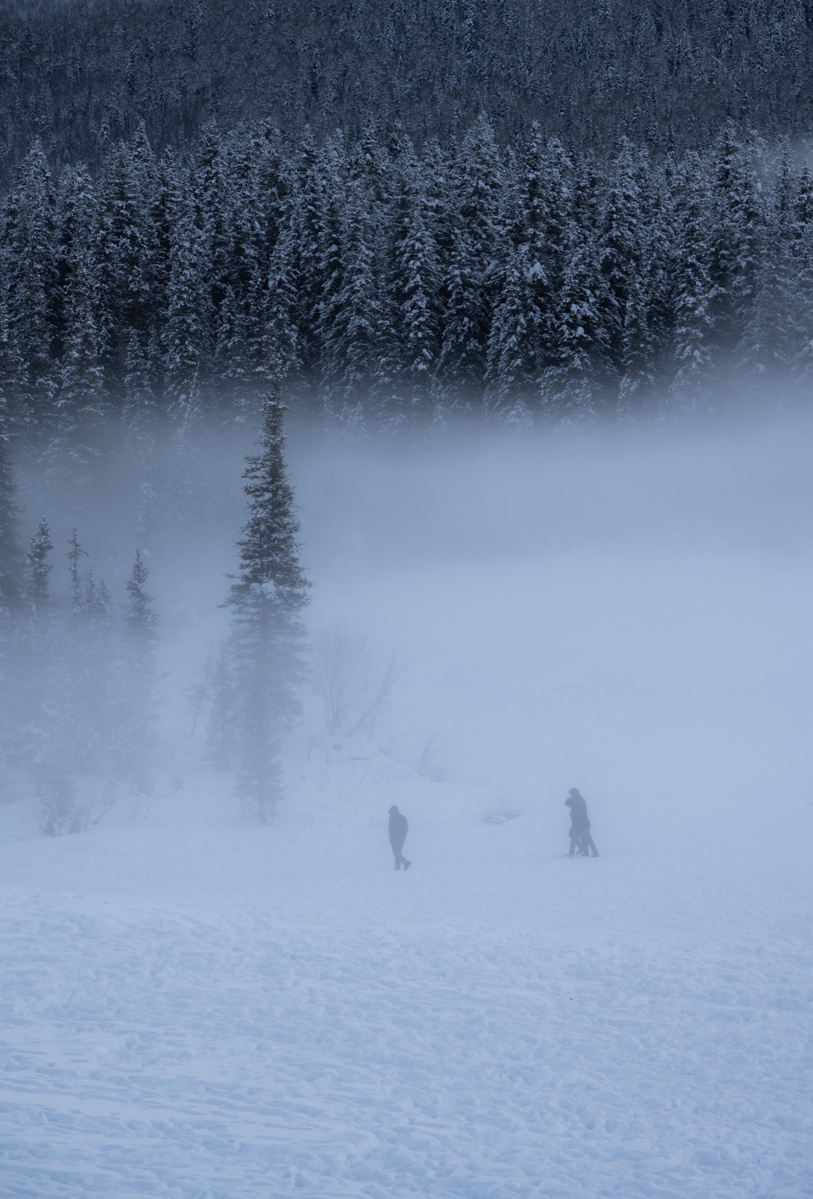 新疆阿勒泰 第 2 张照片